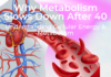 Why Metabolism Slows Down After 40: Science, Cells & What Really Helps Why Metabolism Slows Down After 40: Science, Cells & What Really Helps
