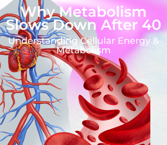 Why Metabolism Slows Down After 40: Science, Cells & What Really Helps Why Metabolism Slows Down After 40: Science, Cells & What Really Helps