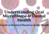 Oral Microbiome Explained: How Mouth Bacteria Affect Dental Health Oral Microbiome Explained: How Mouth Bacteria Affect Dental Health