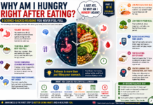 Why Am I Hungry Right After Eating? 9 Science-Backed Reasons You Never Feel Full (2026 Guide) Why Am I Hungry Right After Eating? 9 Science-Backed Reasons You Never Feel Full (2026 Guide)